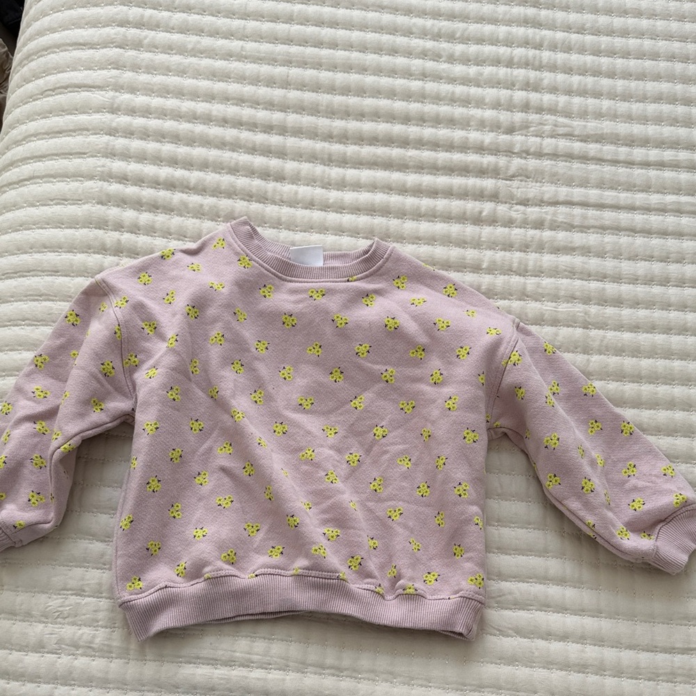 Zara girls sweater